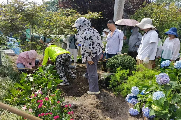周王庙成校“优美庭院花境”培训班举行实地花境营造教学
