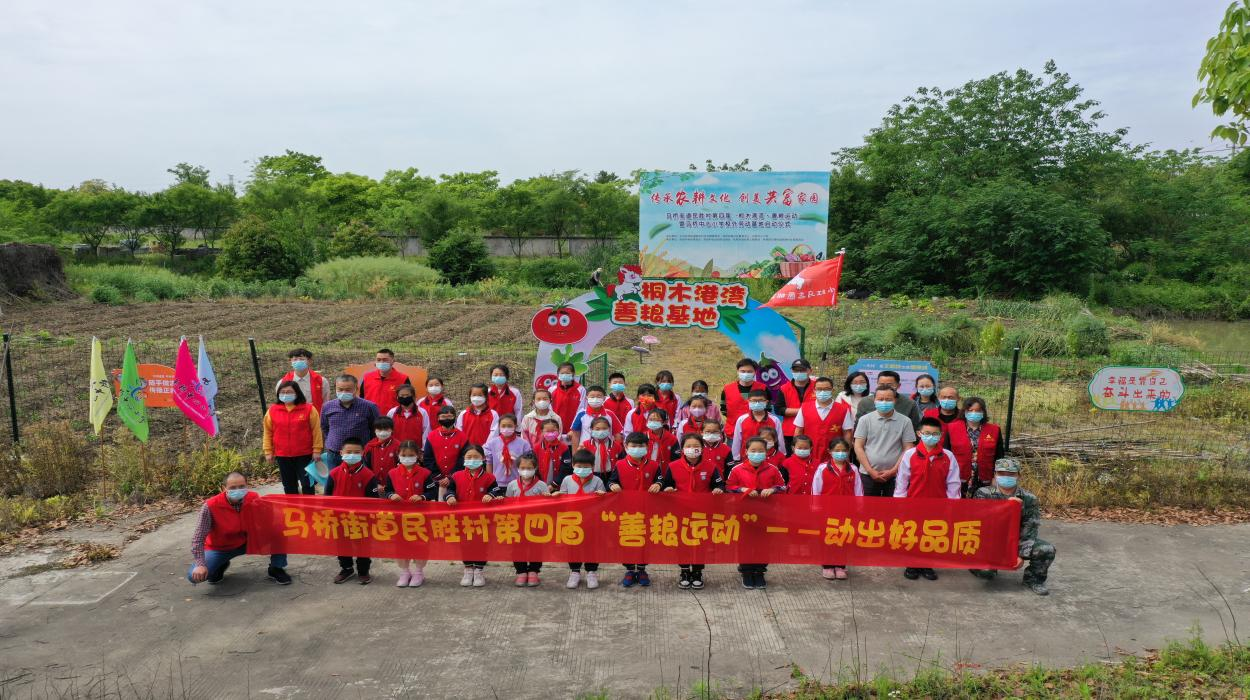 马桥街道第四届“桐木港湾•善粮运动”启动