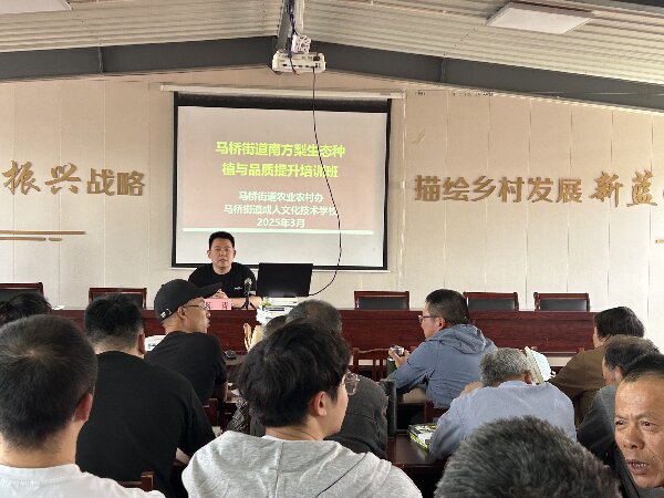 马桥街道举办南方梨生态种植与品质提升培训