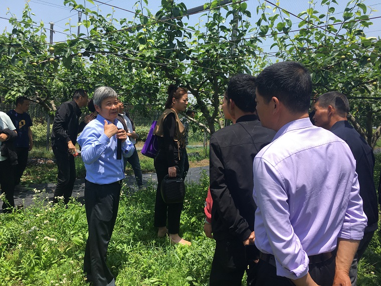 袁花成校组织南方梨培训班学员赴省农科院参观学习