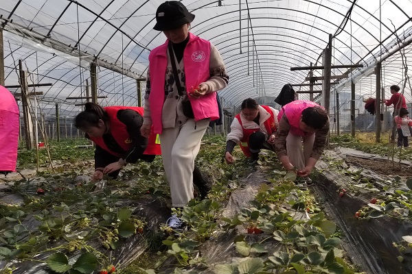 周王庙镇之江社区开展社区女干部“三八节”系列活动