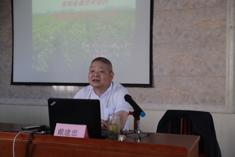 斜桥镇举办2024年春季养蚕技术培训班