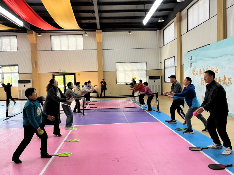 盐官成校匹克球第一期培训在桃园村文化礼堂顺利启航