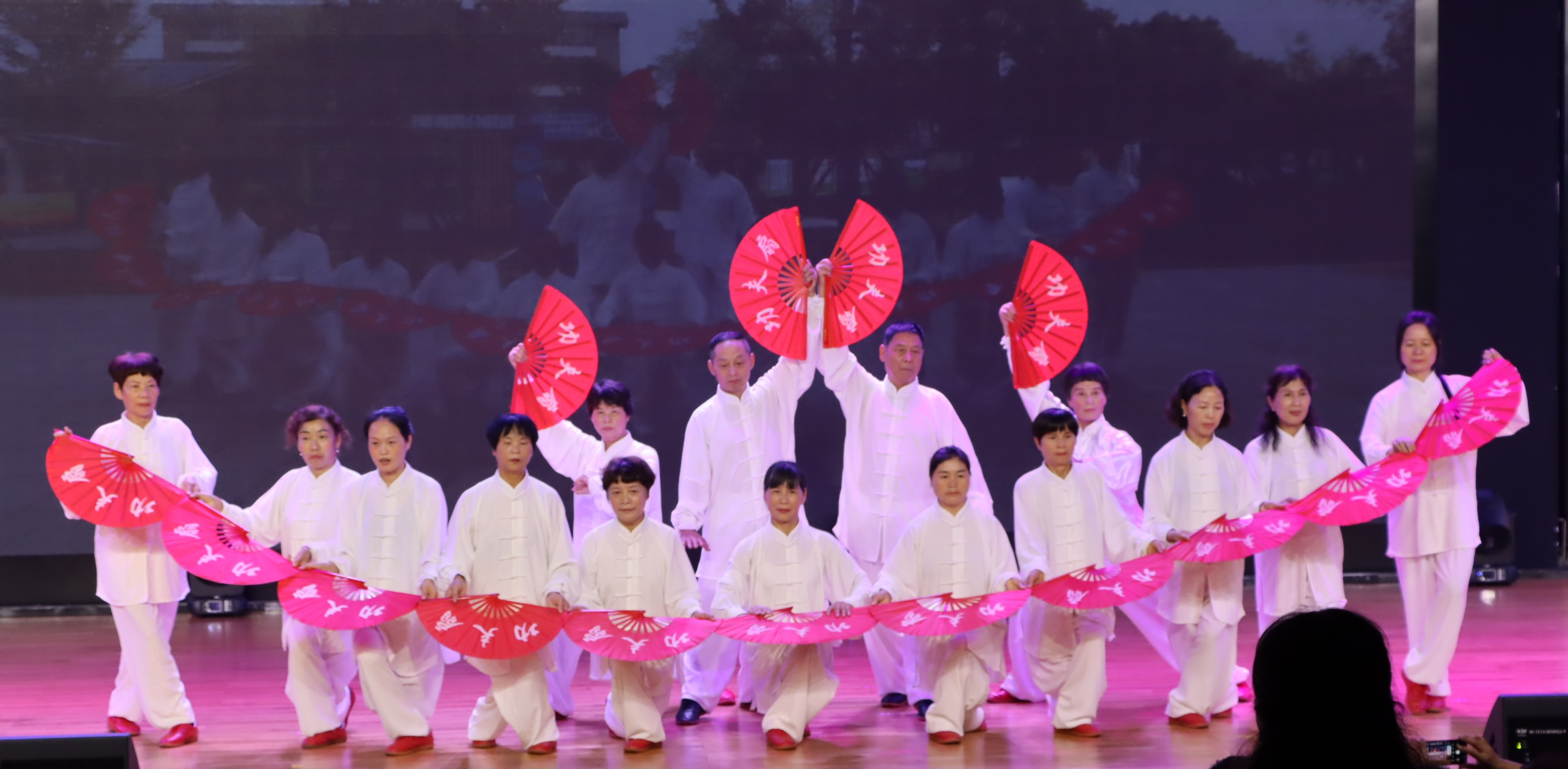 袁花镇成人技术学校太极班参加海宁老年教育联盟文艺汇演的演出