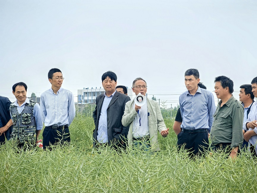 丁桥镇举办水稻优质高效技术培训班