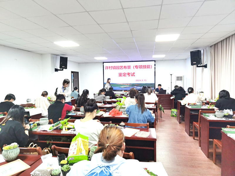 许村成校园艺布景（专项能力）培训班圆满落下帷幕