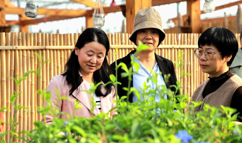 袁花镇成人文化技术学校举行有机种植培训班活动