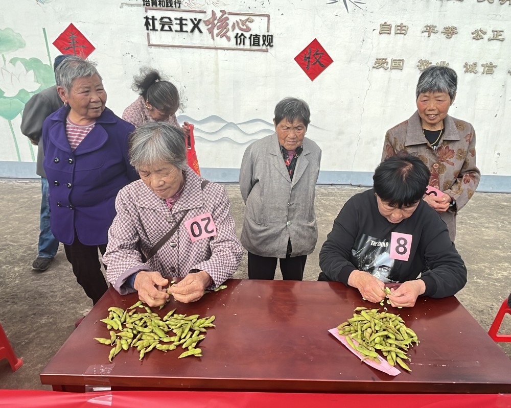 袁花镇濮桥村社区学校重阳节主题活动温情启幕