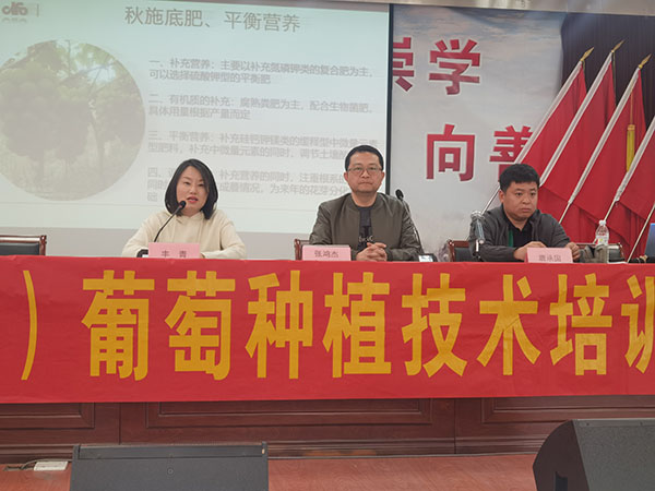 长安镇葡萄种植技术培训助力农户增产增收