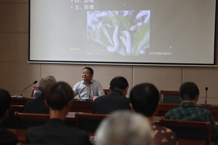 斜桥镇举办春季养蚕技术培训