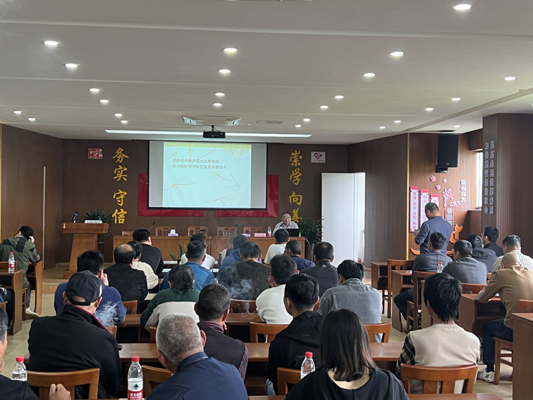 斜桥镇举办2023年海宁市稻渔综合种养技术培训班