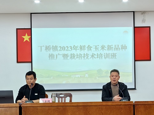 丁桥镇举办鲜食玉米栽培技术培训班