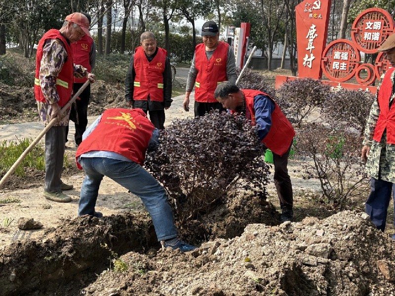 党员引领生态路，退役军人护绿行——长安镇鹿耳村开展植树节专题活动