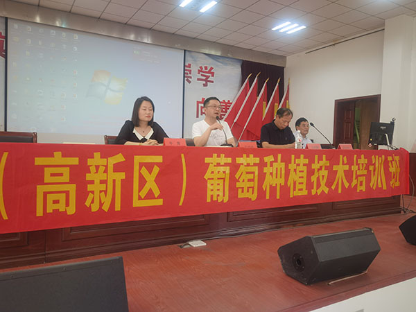 葡萄保果技术培训助力果农增产增收